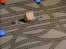 Conjunction Junction