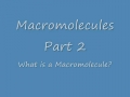 What is a Macromolecule?