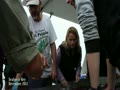 Seahorse Key Bioblitz
