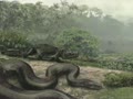 Ancient Crocodile Relative Fossils