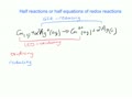 Half reactions
