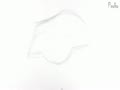 How to Draw an Eye - Step by Step