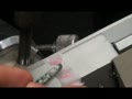Seed Biology