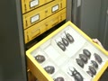 Digitizing Biological Collections - The iDigBio Project