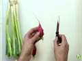 Radish Rat