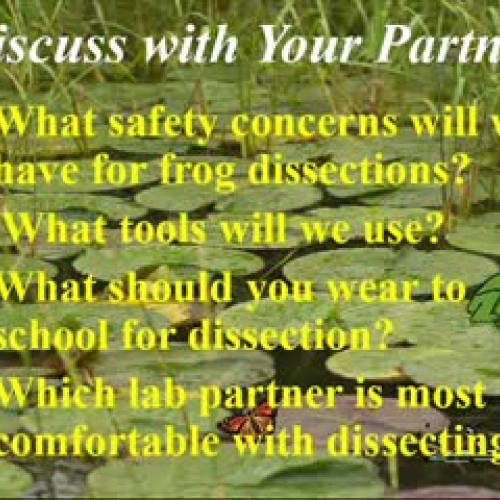 frog dissection instructions frog dissection instructions