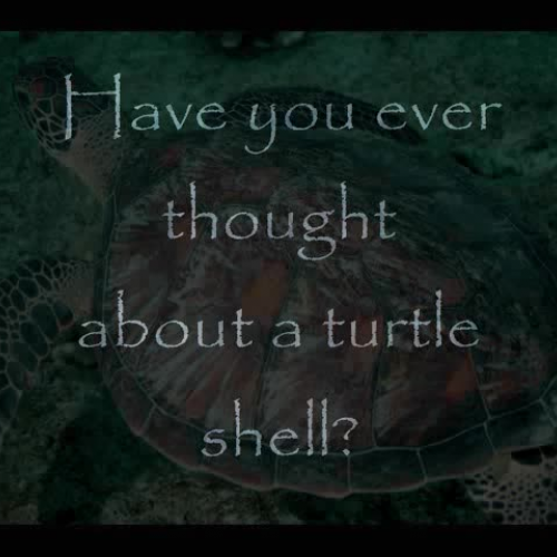thirteen-moons-on-turtle-s-back
