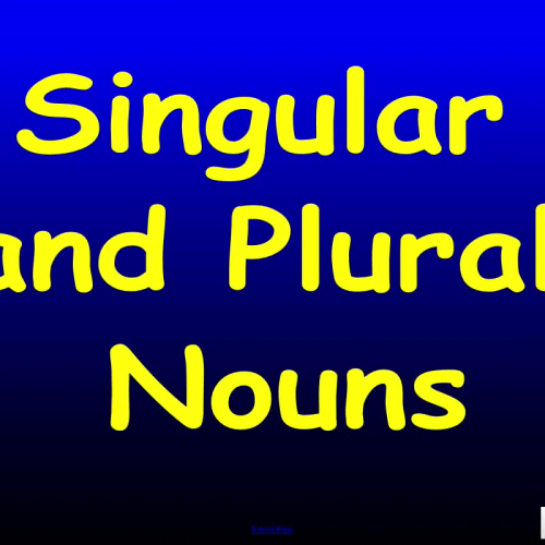 Singular and Plural Nouns