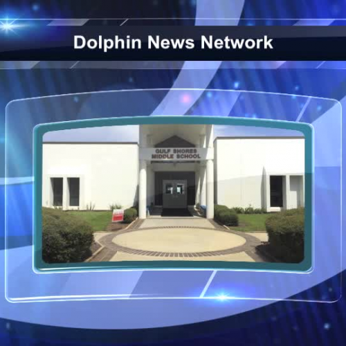 miami dolphin radio network