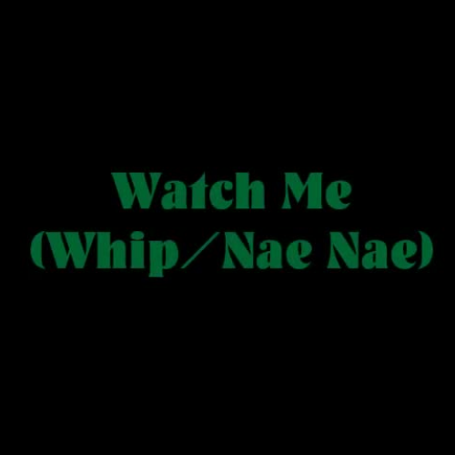 BGS Music Video Whip Nae Nae