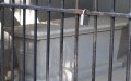 Martha Washington’s Tomb