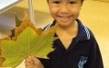 IMG 0264 IMG 0264