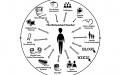 Network Teacher