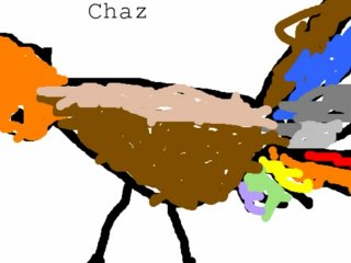 Thanksgiving Turkeys