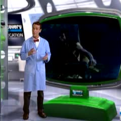 Bill Nye Fossils Schooltube at Arlene Larkins blog