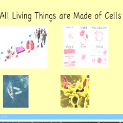 all-living-things-are-made-of-cells