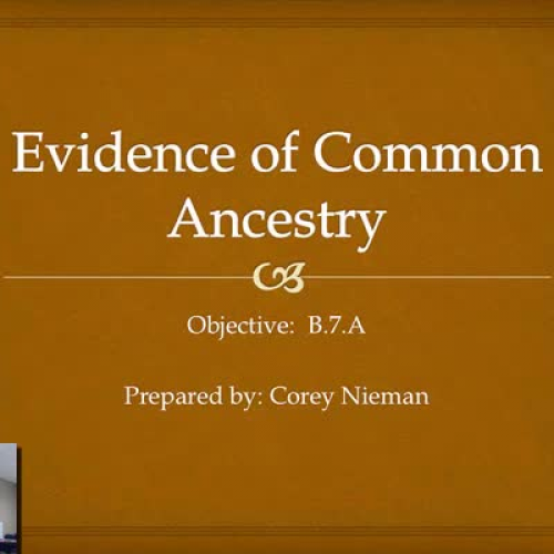 evidence-of-common-ancestry