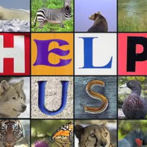 endangered species animals and plants essay endangered species animals and plants essay