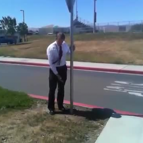 Parallel to the ground