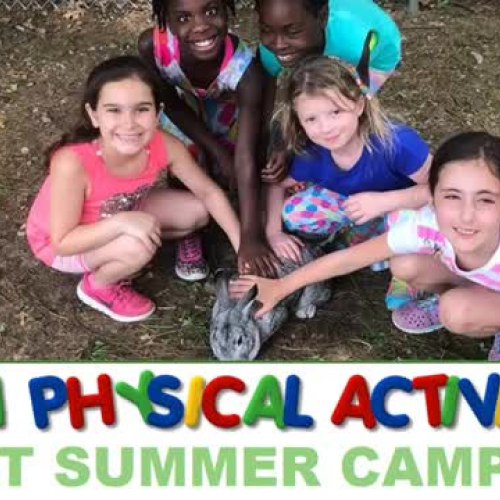 Fun Physical Activities at Summer Day Camp