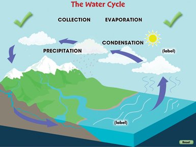 Interactive Activity - Water Cycle - TeacherTube