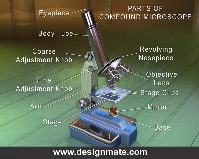 Parts of Compound Microscope - TeacherTube